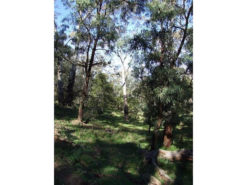 1 Jenolan Caves Road, Oberon NSW 2787