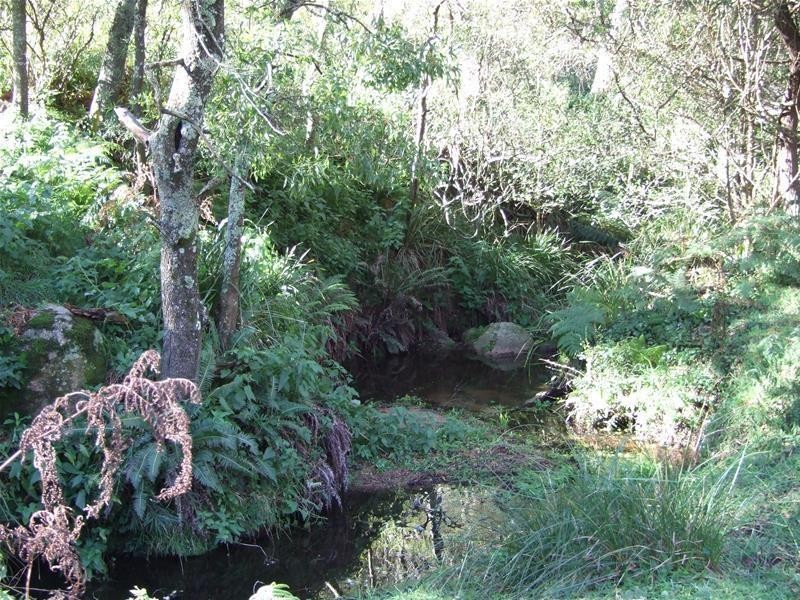 1 Jenolan Caves Road, Oberon NSW 2787