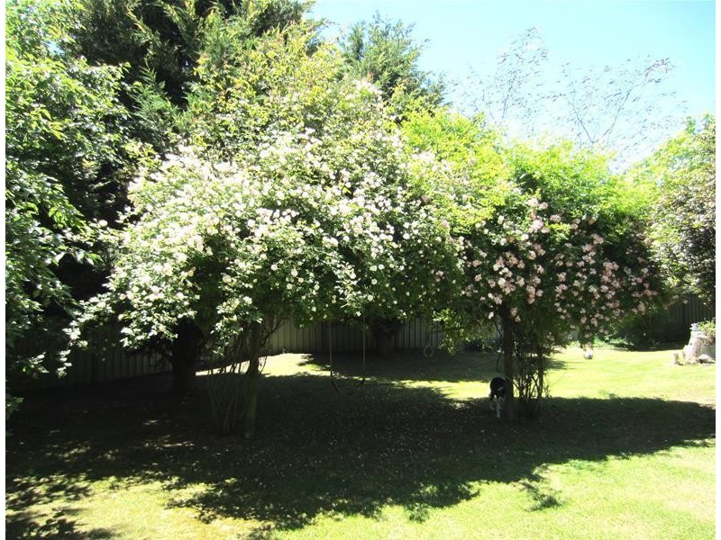 26 Oberon Street, Oberon NSW 2787