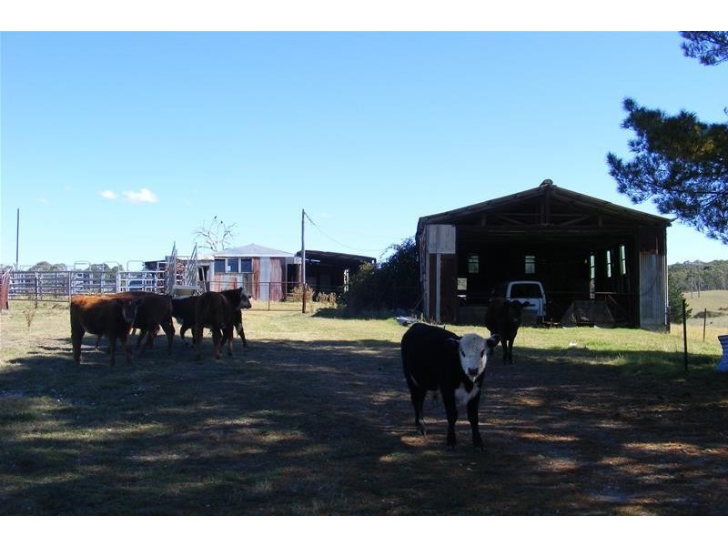 217 Rydal Road, Wallerawang NSW 2845