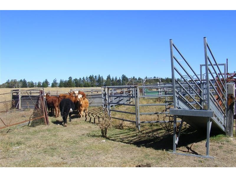 217 Rydal Road, Wallerawang NSW 2845