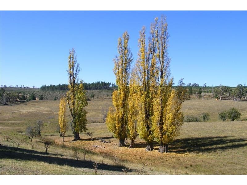 217 Rydal Road, Wallerawang NSW 2845