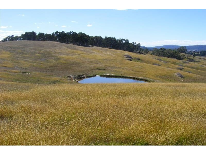 217 Rydal Road, Wallerawang NSW 2845