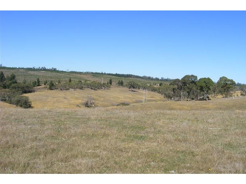 217 Rydal Road, Wallerawang NSW 2845