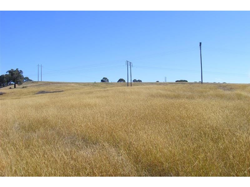 217 Rydal Road, Wallerawang NSW 2845