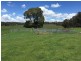 865 Campbells River Road, Oberon NSW 2787