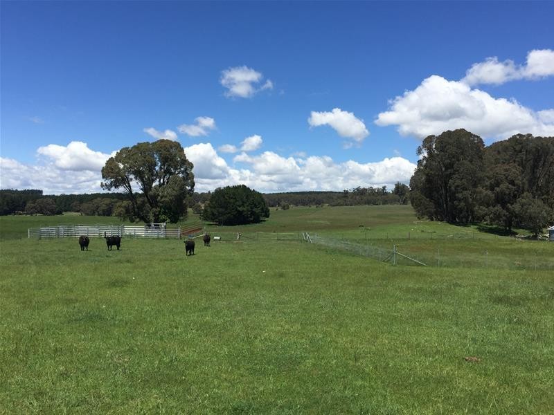 865 Campbells River Road, Oberon NSW 2787