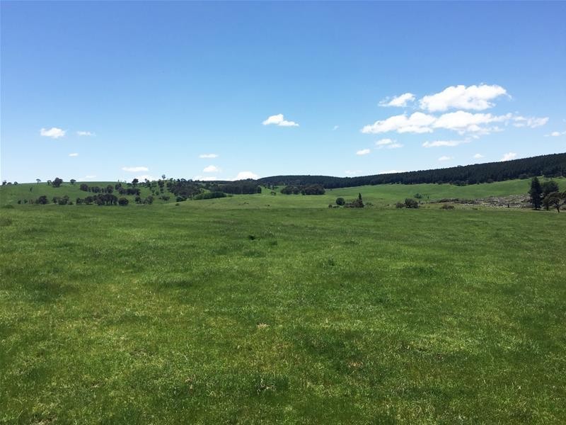 865 Campbells River Road, Oberon NSW 2787