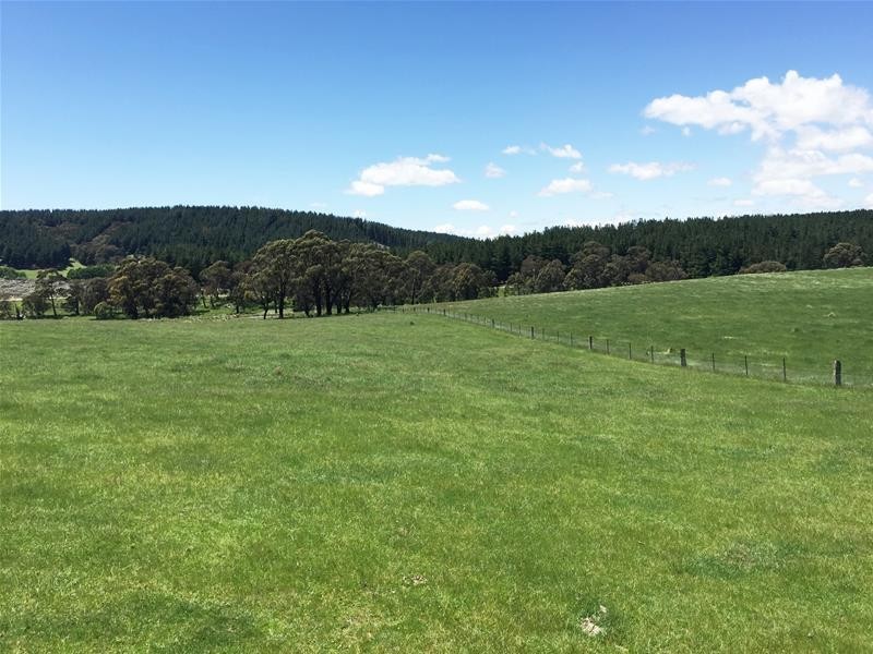 865 Campbells River Road, Oberon NSW 2787