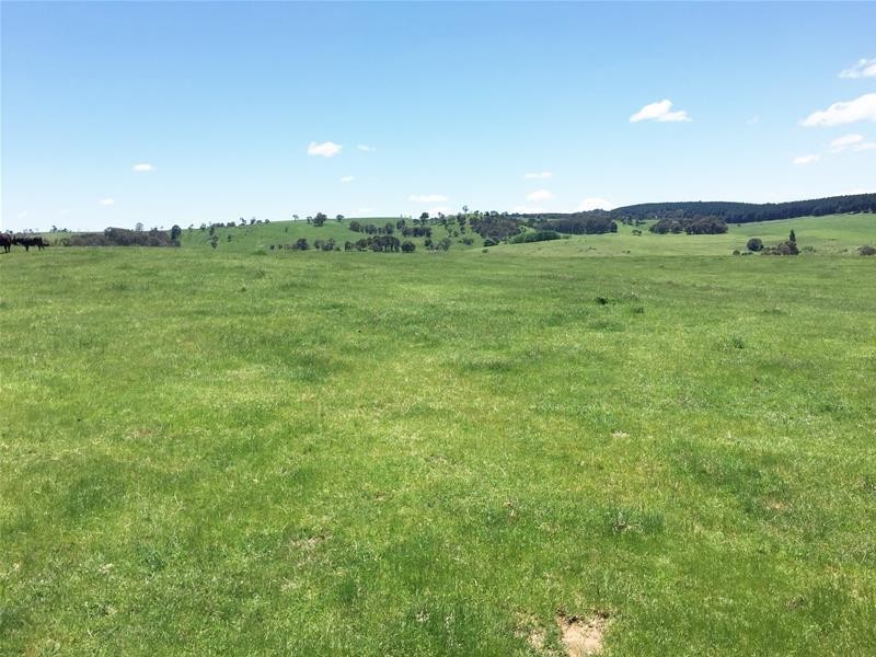 865 Campbells River Road, Oberon NSW 2787