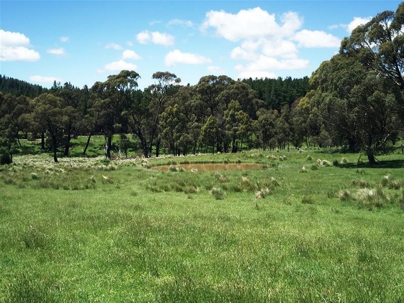 865 Campbells River Road, Oberon NSW 2787