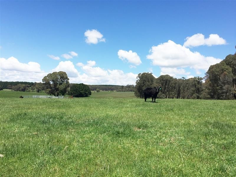 865 Campbells River Road, Oberon NSW 2787