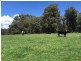 865 Campbells River Road, Oberon NSW 2787