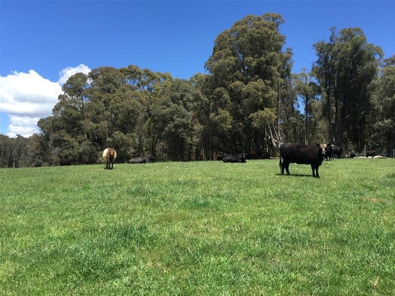 865 Campbells River Road, Oberon NSW 2787