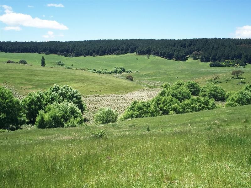 865 Campbells River Road, Oberon NSW 2787