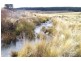 865 Campbells River Road, Oberon NSW 2787