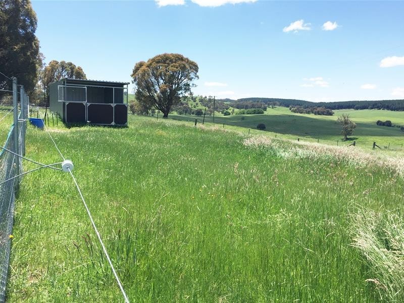 865 Campbells River Road, Oberon NSW 2787