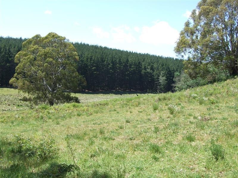 127 Spring Mount Road, Oberon NSW 2787