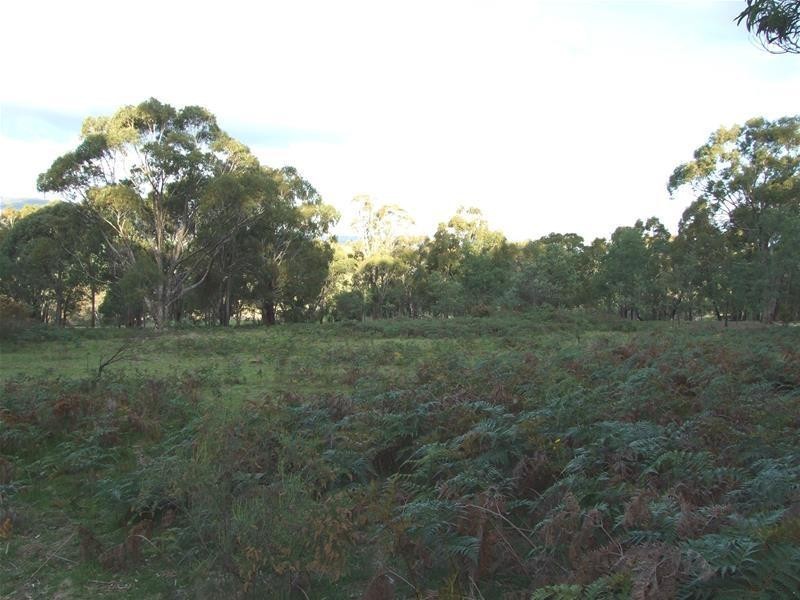 5 Hat Hill Lane, Meadow Flat NSW 2795