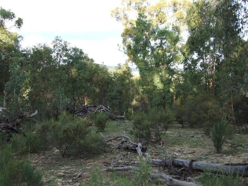 5 Hat Hill Lane, Meadow Flat NSW 2795