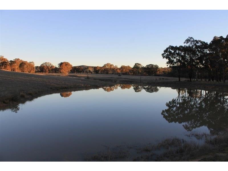 2213 O’Connell Road, O’connell NSW 2795