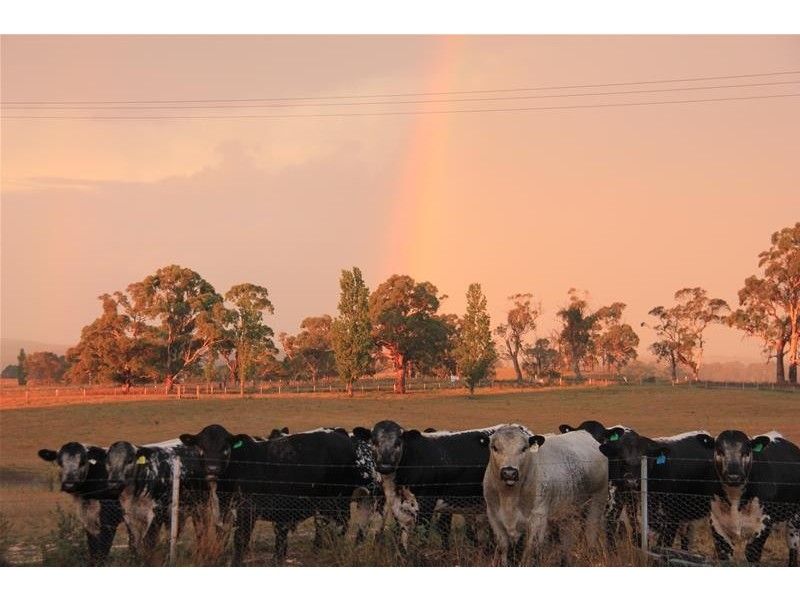 273 O’Connell Road, Oberon NSW 2787