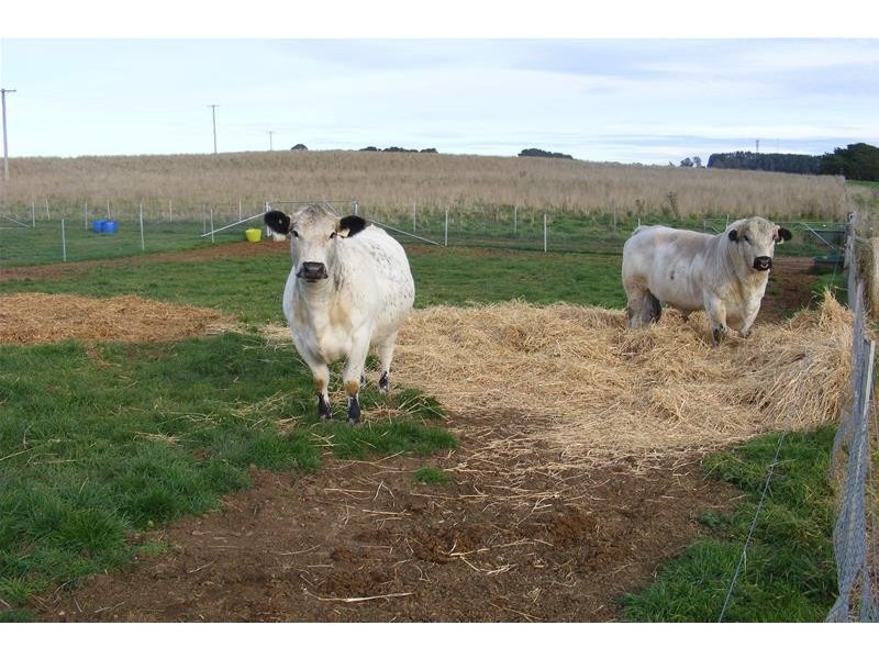 273 O’Connell Road, Oberon NSW 2787