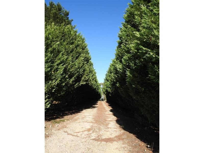 139 Rutters Ridge Road, Oberon NSW 2787