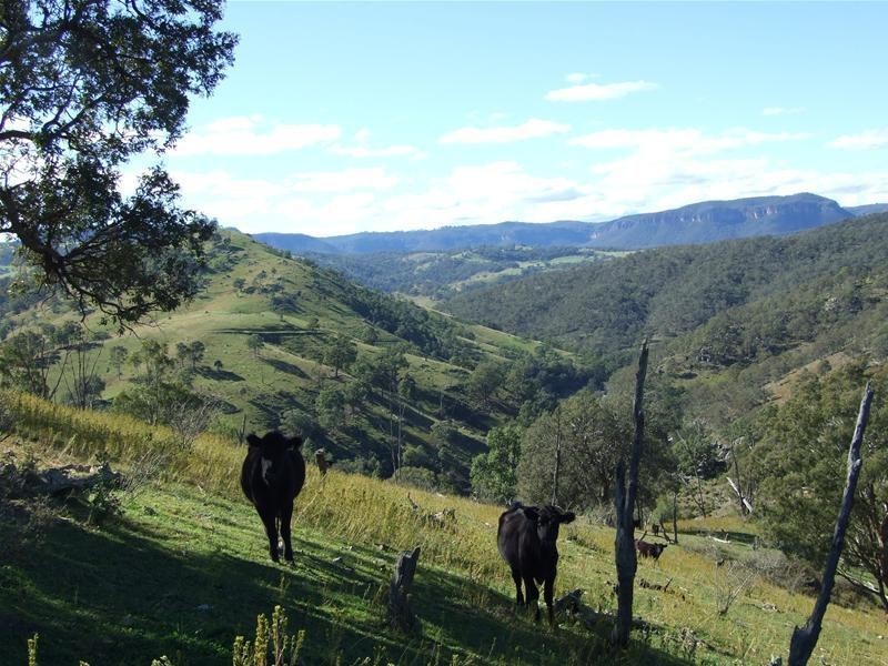 102 Cullenbenbong Road, Kanimbla NSW 2790