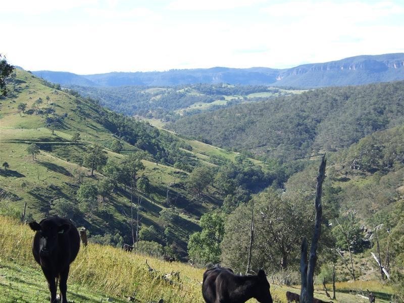 102 Cullenbenbong Road, Kanimbla NSW 2790