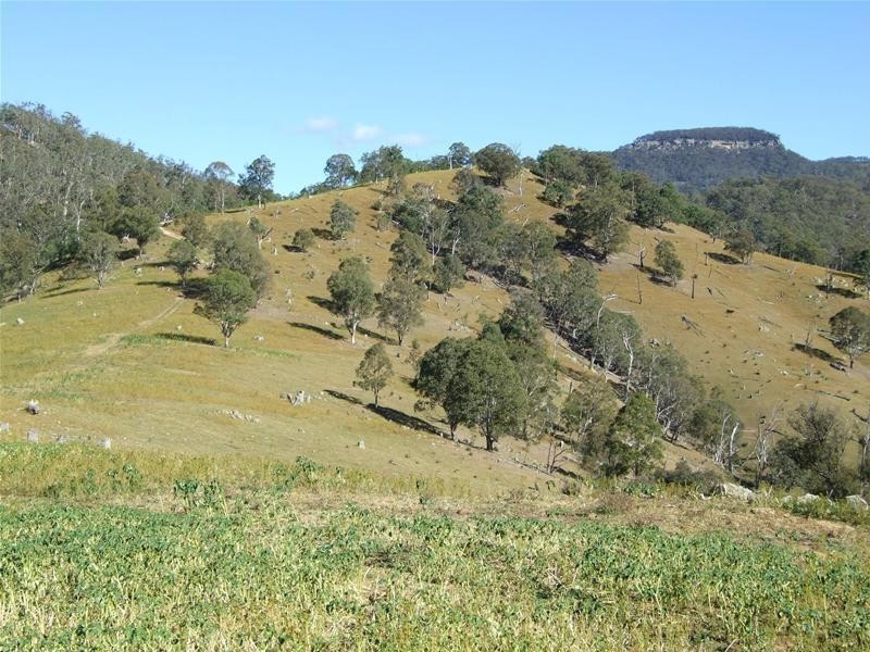 102 Cullenbenbong Road, Kanimbla NSW 2790