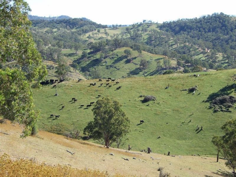 102 Cullenbenbong Road, Kanimbla NSW 2790