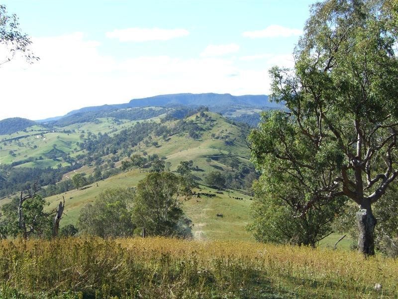 102 Cullenbenbong Road, Kanimbla NSW 2790