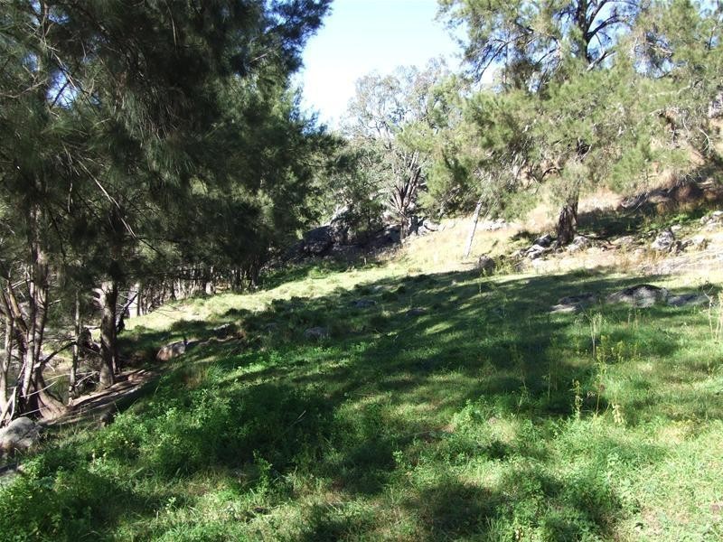 102 Cullenbenbong Road, Kanimbla NSW 2790