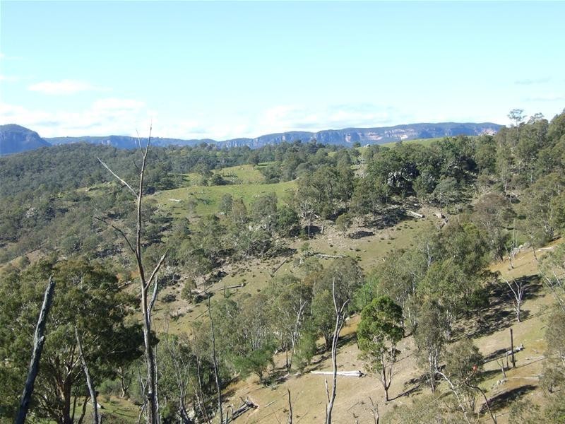 102 Cullenbenbong Road, Kanimbla NSW 2790