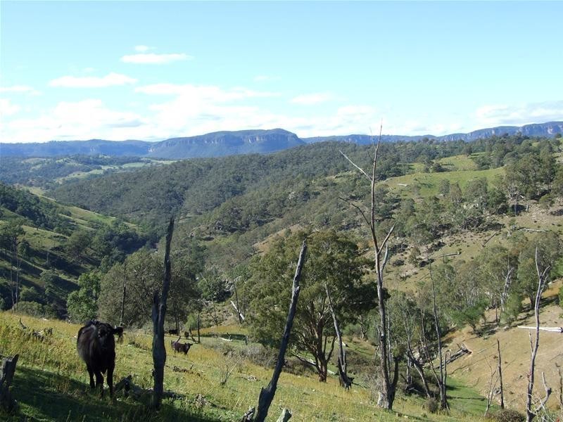 102 Cullenbenbong Road, Kanimbla NSW 2790