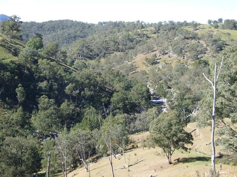 102 Cullenbenbong Road, Kanimbla NSW 2790