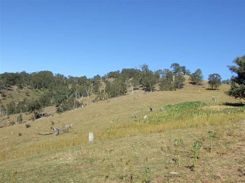 102 Cullenbenbong Road, Kanimbla NSW 2790