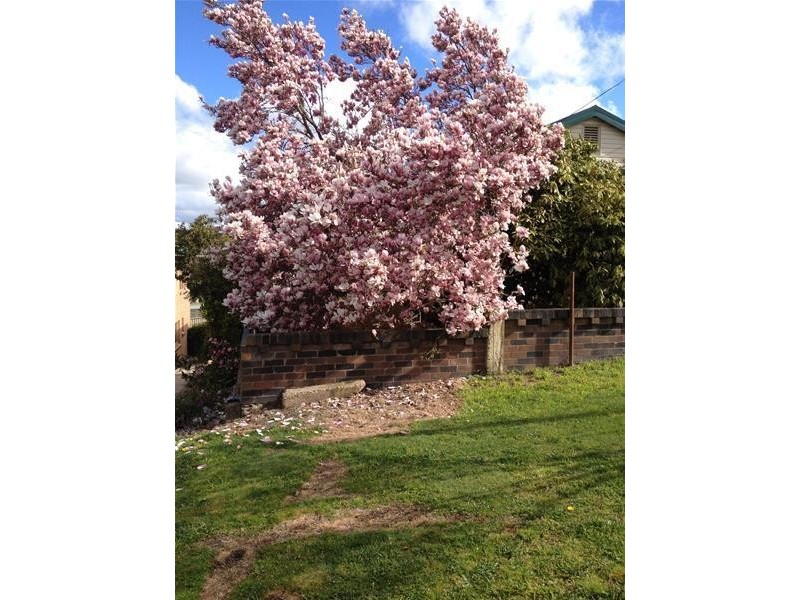 128 Queen Street, Oberon NSW 2787