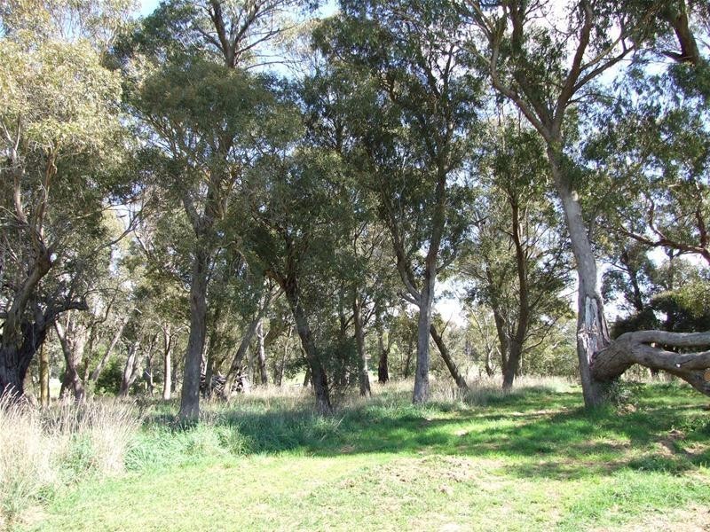 64 Harris Road, Oberon NSW 2787