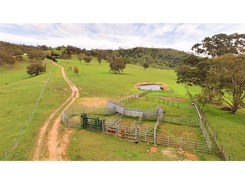 818 Marsden Swamp Road, Lowther NSW 2790