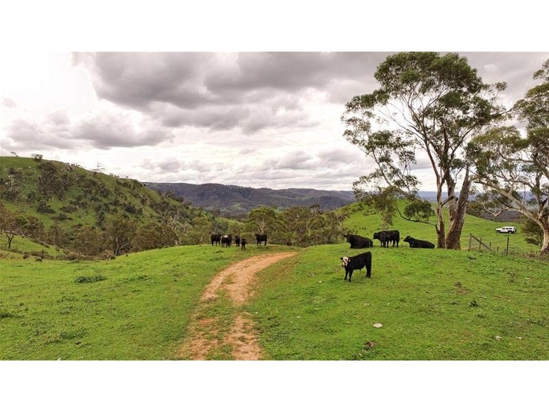 818 Marsden Swamp Road, Lowther NSW 2790