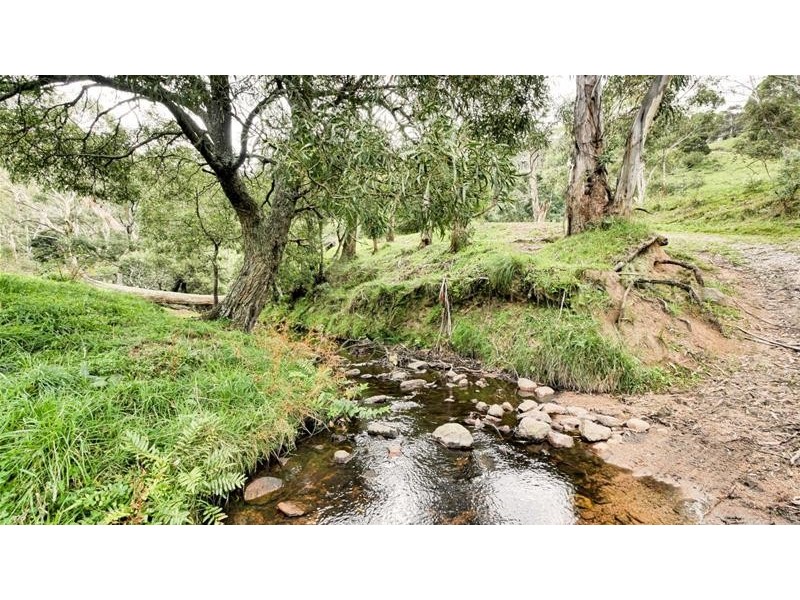 818 Marsden Swamp Road, Lowther NSW 2790