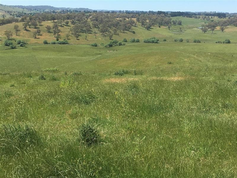 4925 Mitchell Highway, Orange NSW 2800