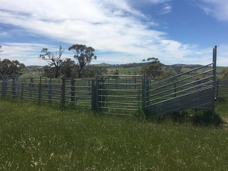 4925 Mitchell Highway, Orange NSW 2800