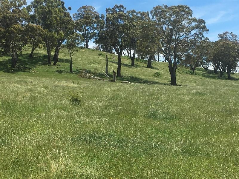 4925 Mitchell Highway, Orange NSW 2800