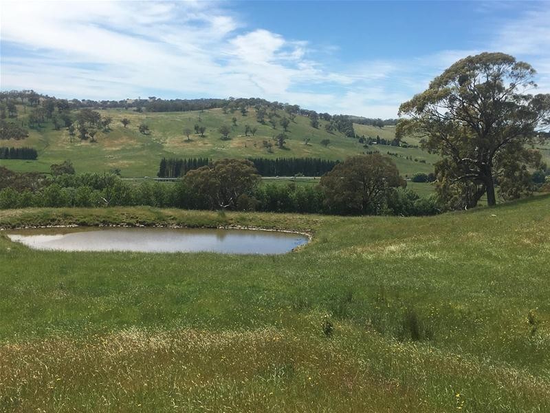 4925 Mitchell Highway, Orange NSW 2800