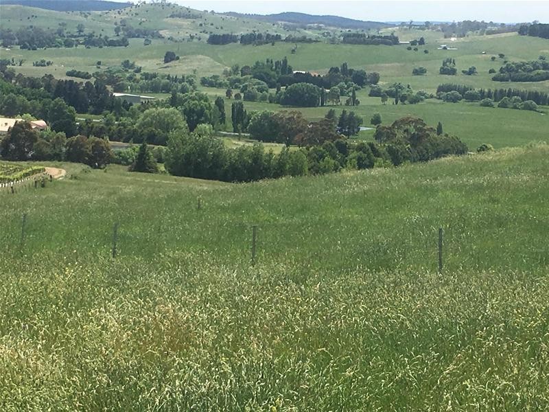 4925 Mitchell Highway, Orange NSW 2800