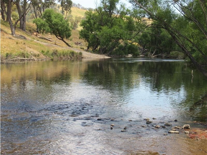 499 Cuthill Road, Sodwalls NSW 2790