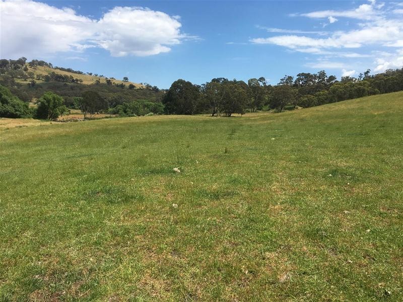 499 Cuthill Road, Sodwalls NSW 2790